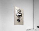 Dear Rose Acrylic Print