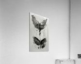 Butterfly Effect 02 NoWB Acrylic Print