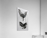 ButterflyEffect02 WB Acrylic Print