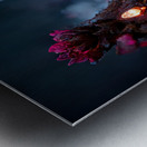 Forever Rose 6 Impression metal