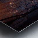 Forever Rose 4 Metal print