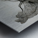 Butterfly Effect 02 NoWB Metal print