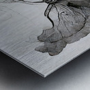 ButterflyEffect02 WB Metal print