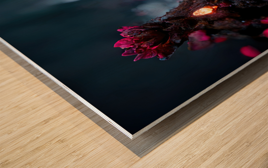 Forever Rose 6 Impression sur bois