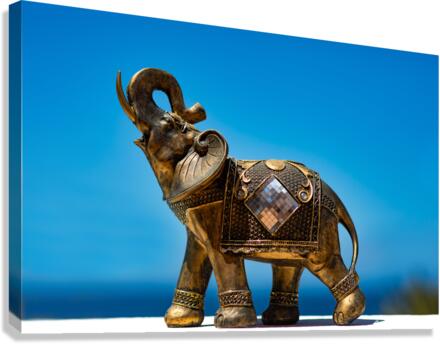 Lucky charm elephant Canvas Print