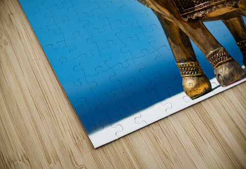 Lucky charm elephant zeva puzzle