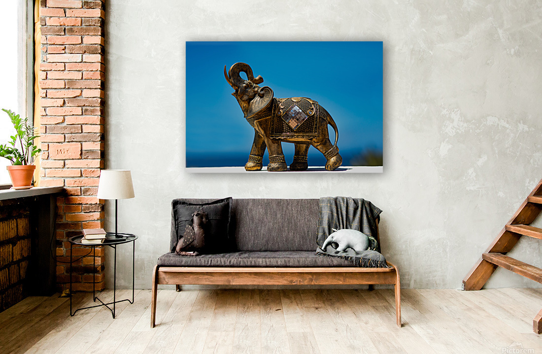 Lucky charm elephant Reproduction