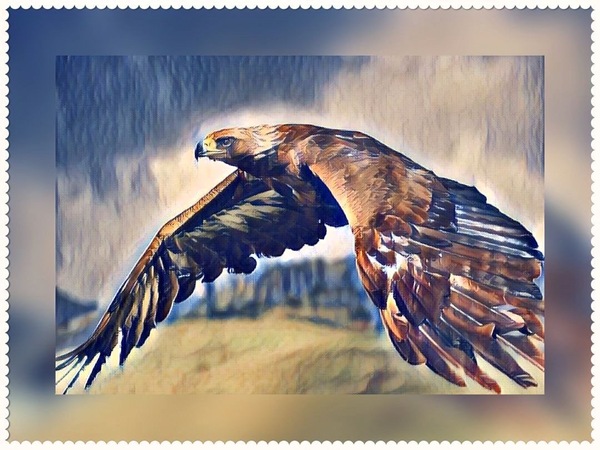 Eagle Sky Digital Download