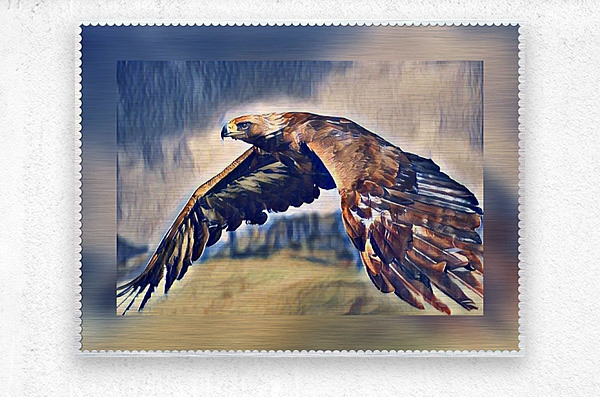 Eagle Sky by David S Justin Wall Art