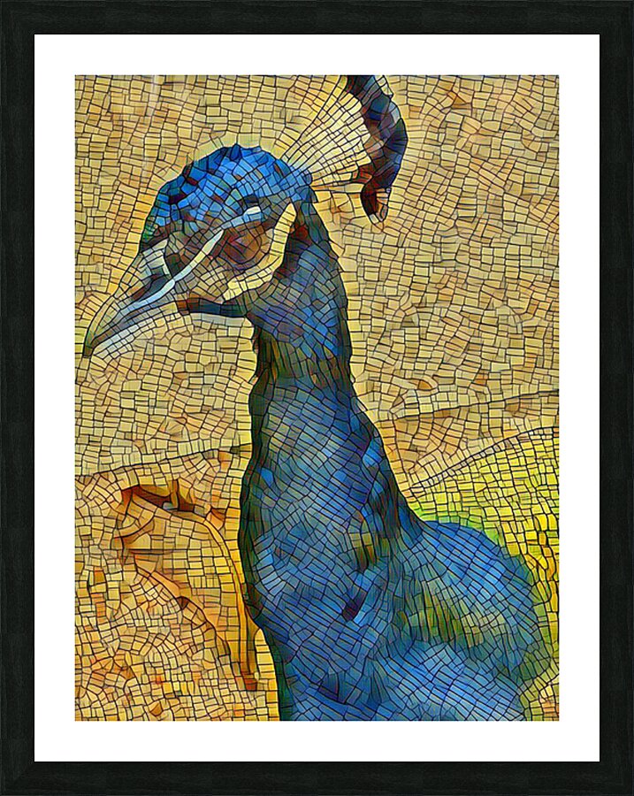 peacock 3 Picture Frame print