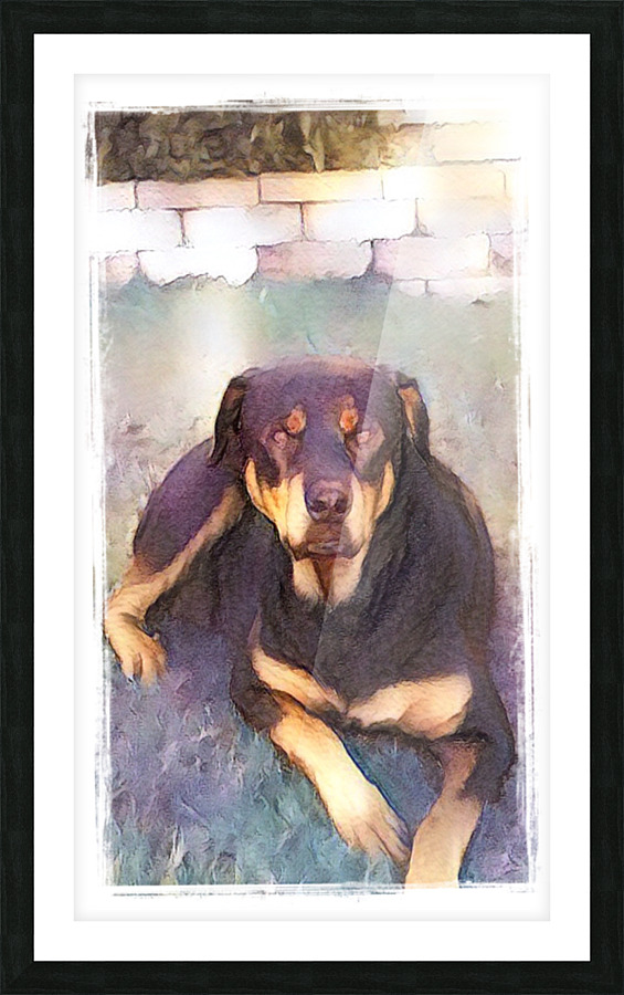 Lola Picture Frame print