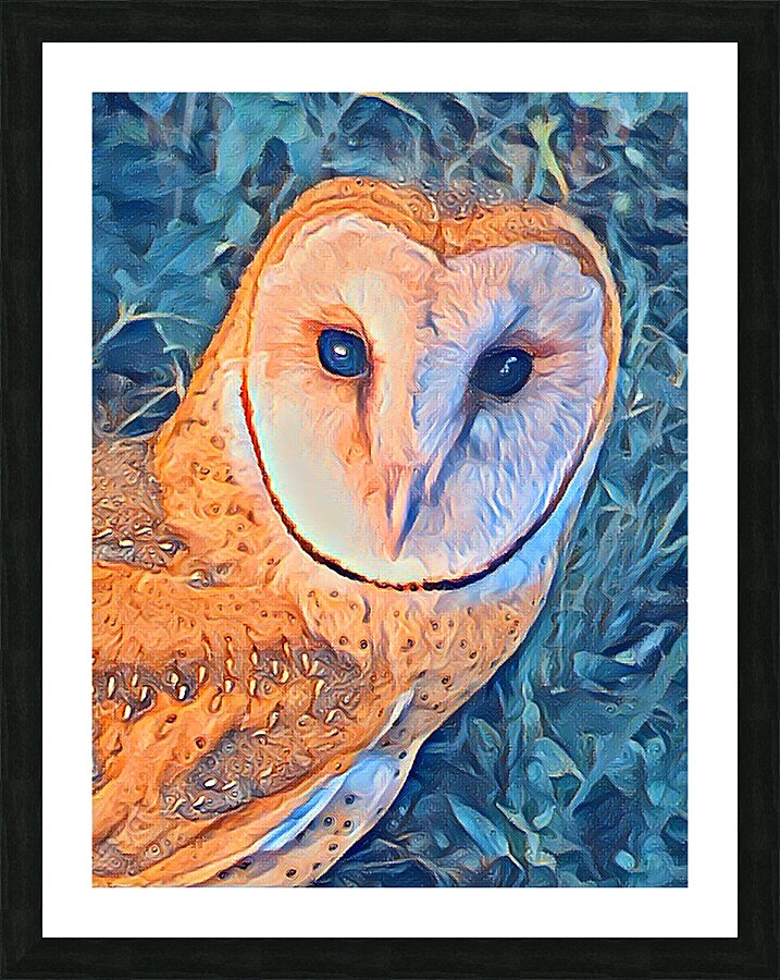 Barn Owl Picture Frame print