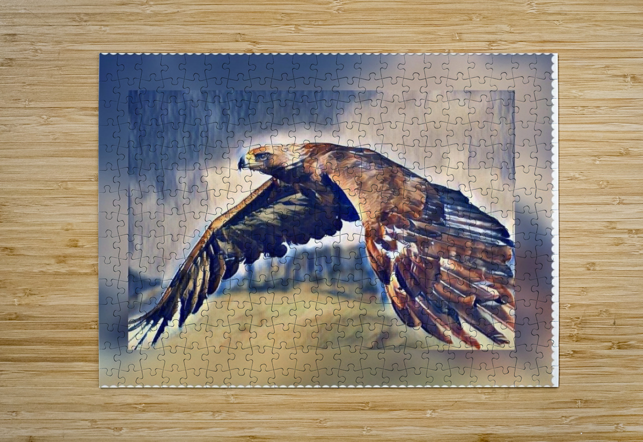 Eagle Sky by David S Justin Wall Art