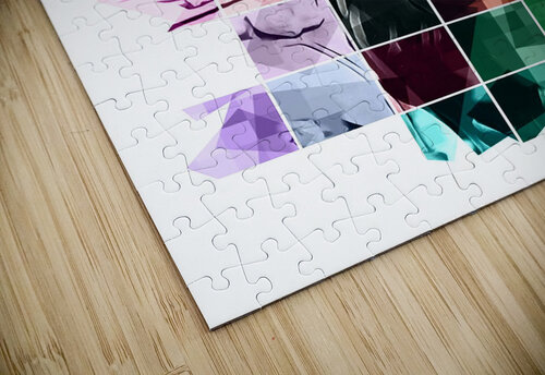 peacock 2 David S Justin puzzle