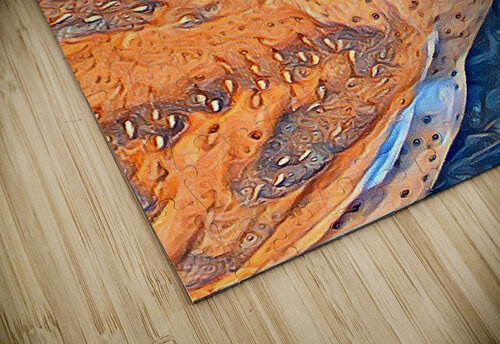 Barn Owl David S Justin puzzle