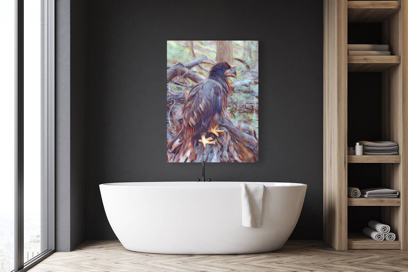 juvenile eagle Reproduction