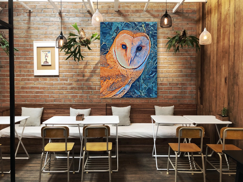 Barn Owl Reproduction
