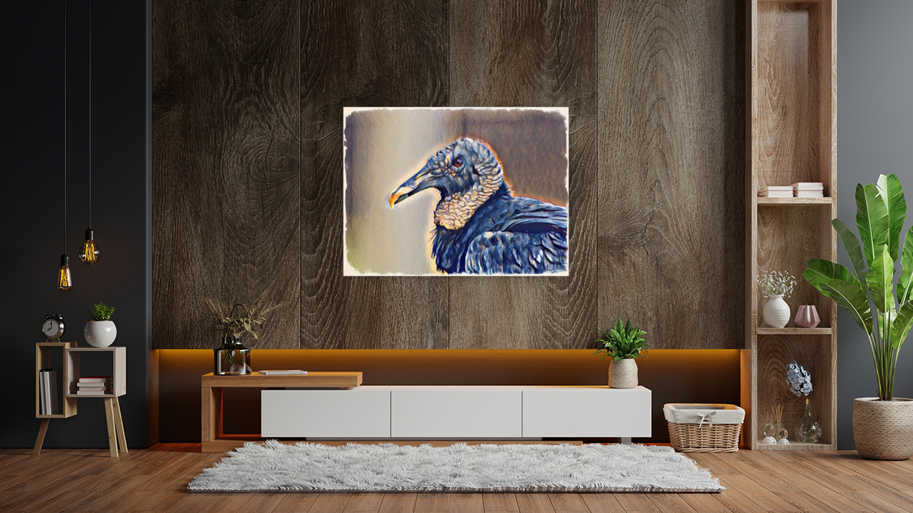 Black Vulture Reproduction