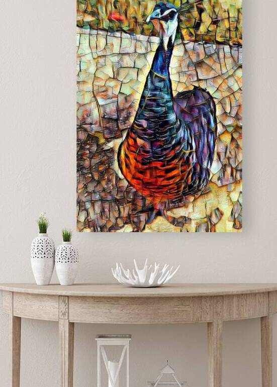 peacock 1 by David S Justin