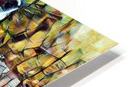 peacock 1 HD Metal print