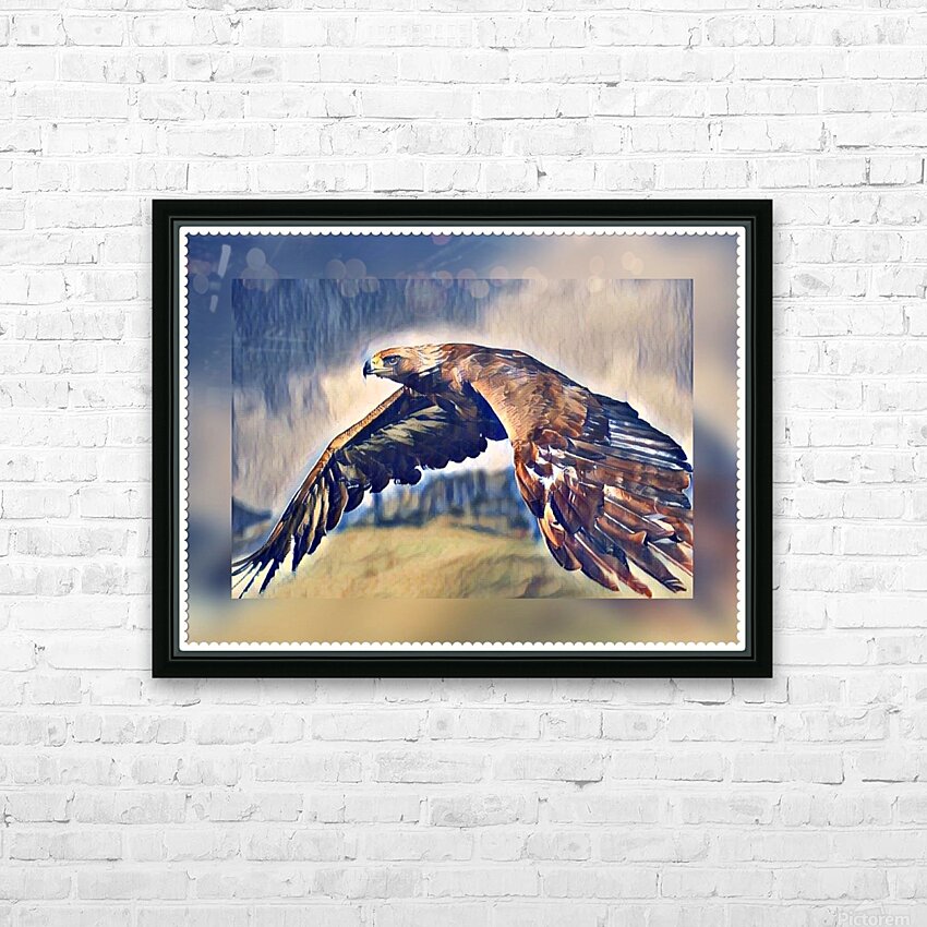 Eagle Sky by David S Justin Wall Art
