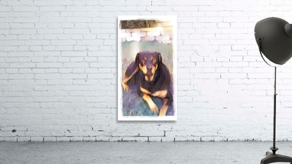 Lola Wall Preview