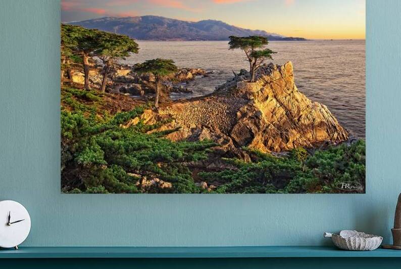 The Lone Cypress - Pebble Beach  CA by T Rx Photography