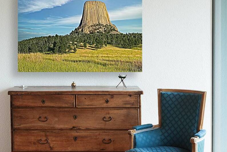 Devil s Tower  WY by T Rx Photography