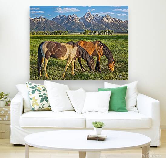Horses On Mormon Row - Grand Teton NP  WY by T Rx Photography