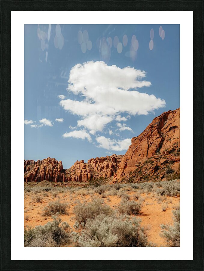 the desert Picture Frame print