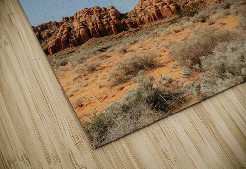 the desert desidnNest puzzle