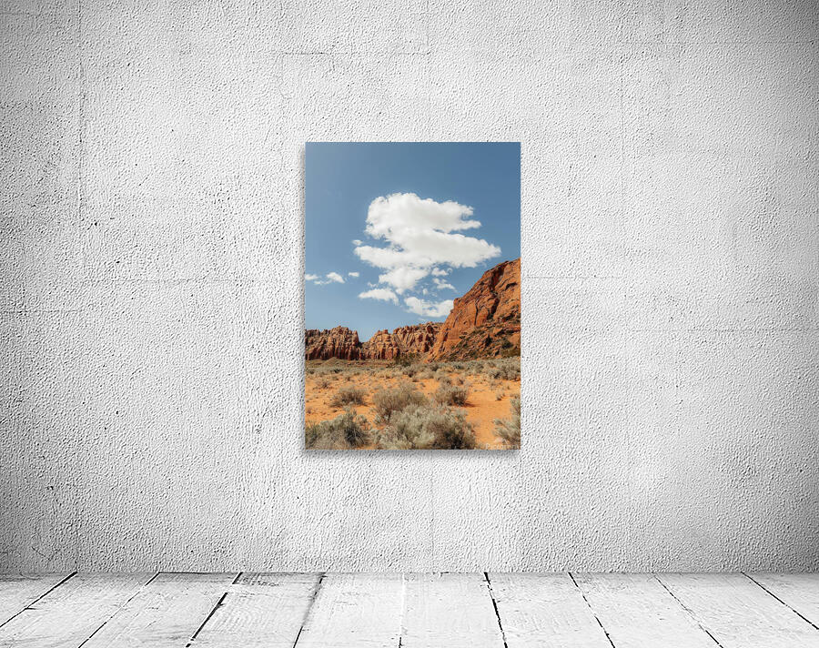 the desert Wall Preview