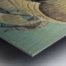 RA 039 - TROYA Metal print