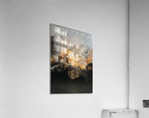 FIRE AND ASH Acrylic Print