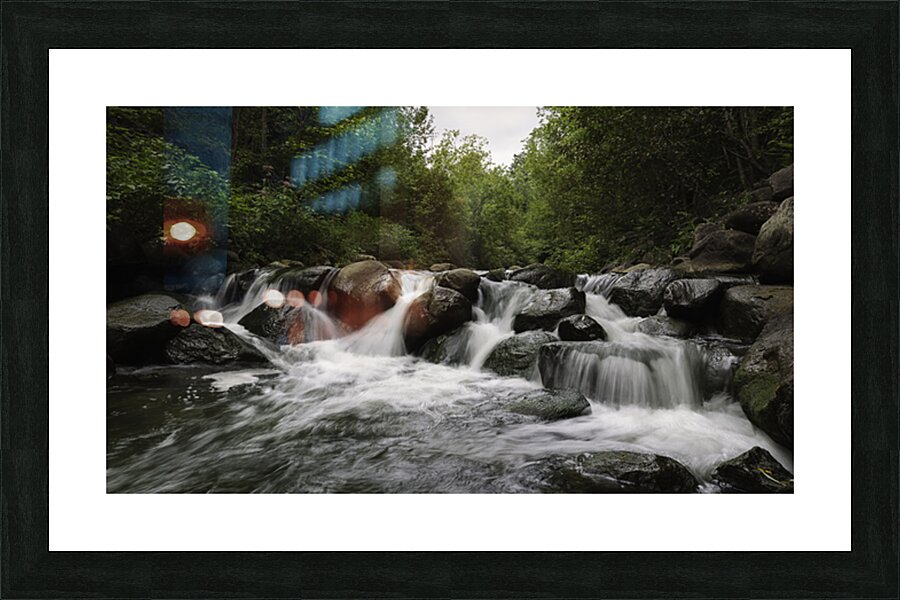 08 049 Parc Armand Grenier Picture Frame print