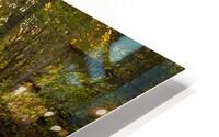 08 051 Anjou HD Metal print