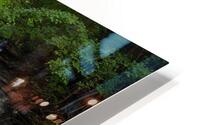 08 042 Anjou HD Metal print