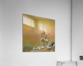 Burrowing Owl Launching Off Acrylic Print