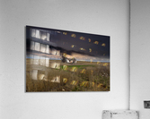 Lonely House Acrylic Print