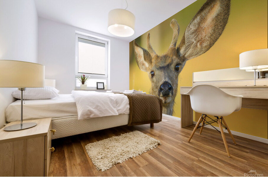 Young Buck Mural print