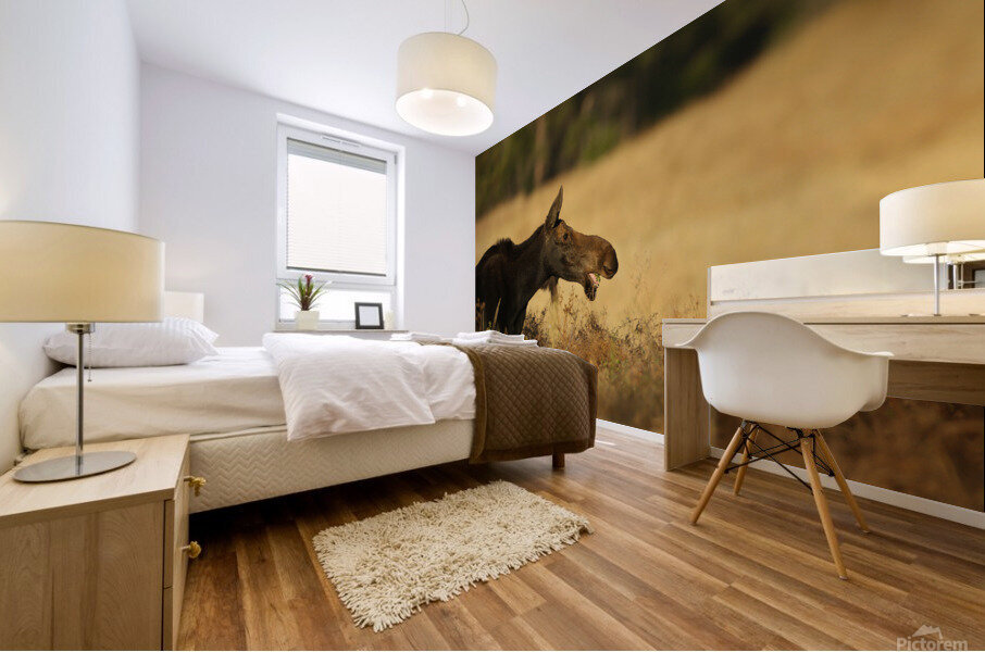 Moose Mural print