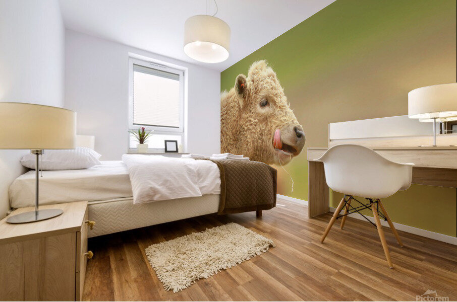 Cute Calf Mural print