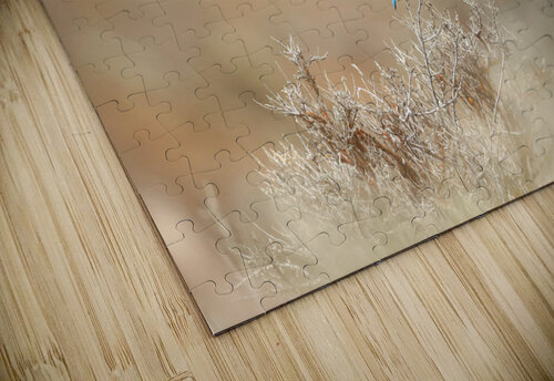 Mountain Bluebird Gia Commodore puzzle