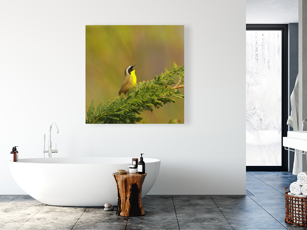Common Yellowthroat Reproduction