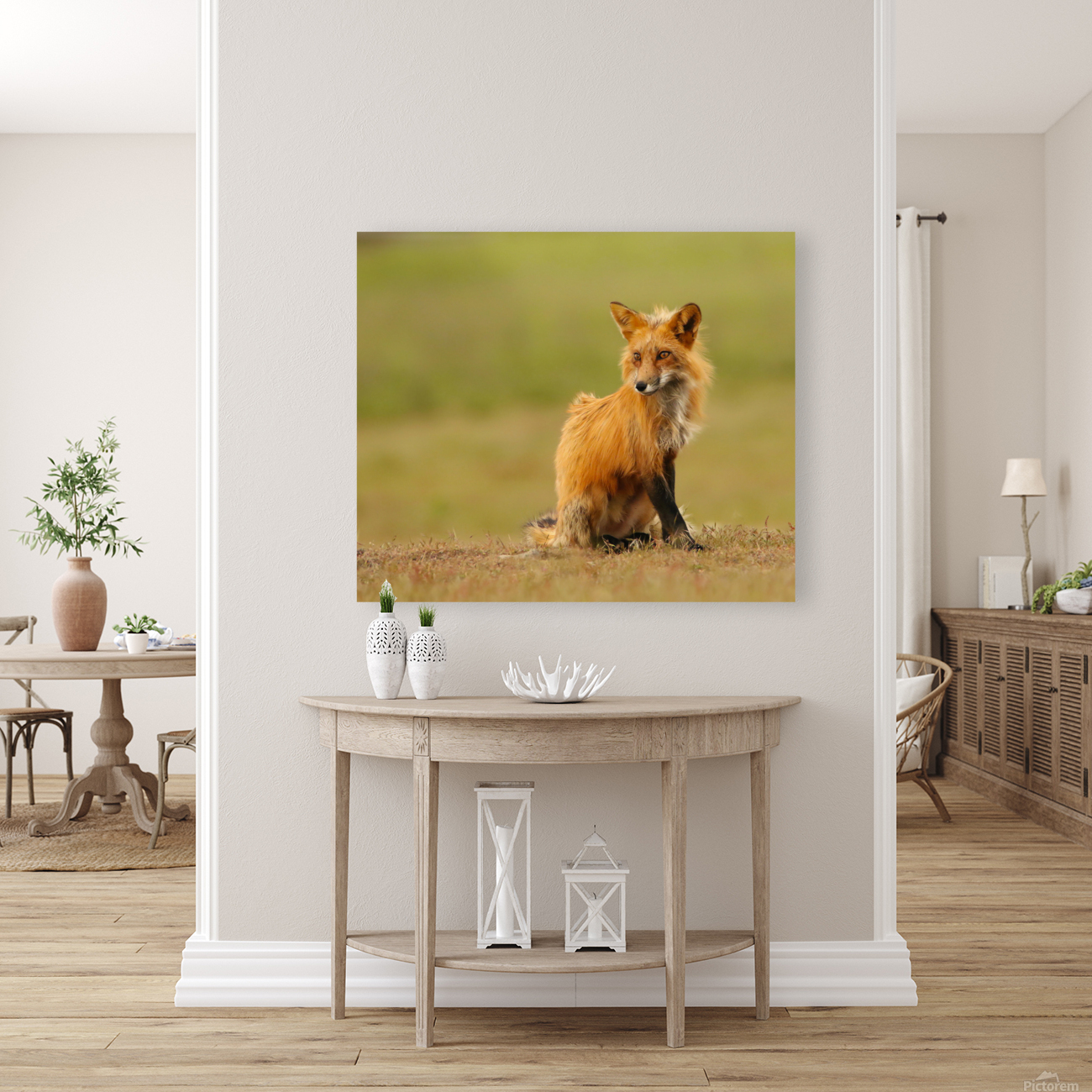 Red Fox Vixen Reproduction