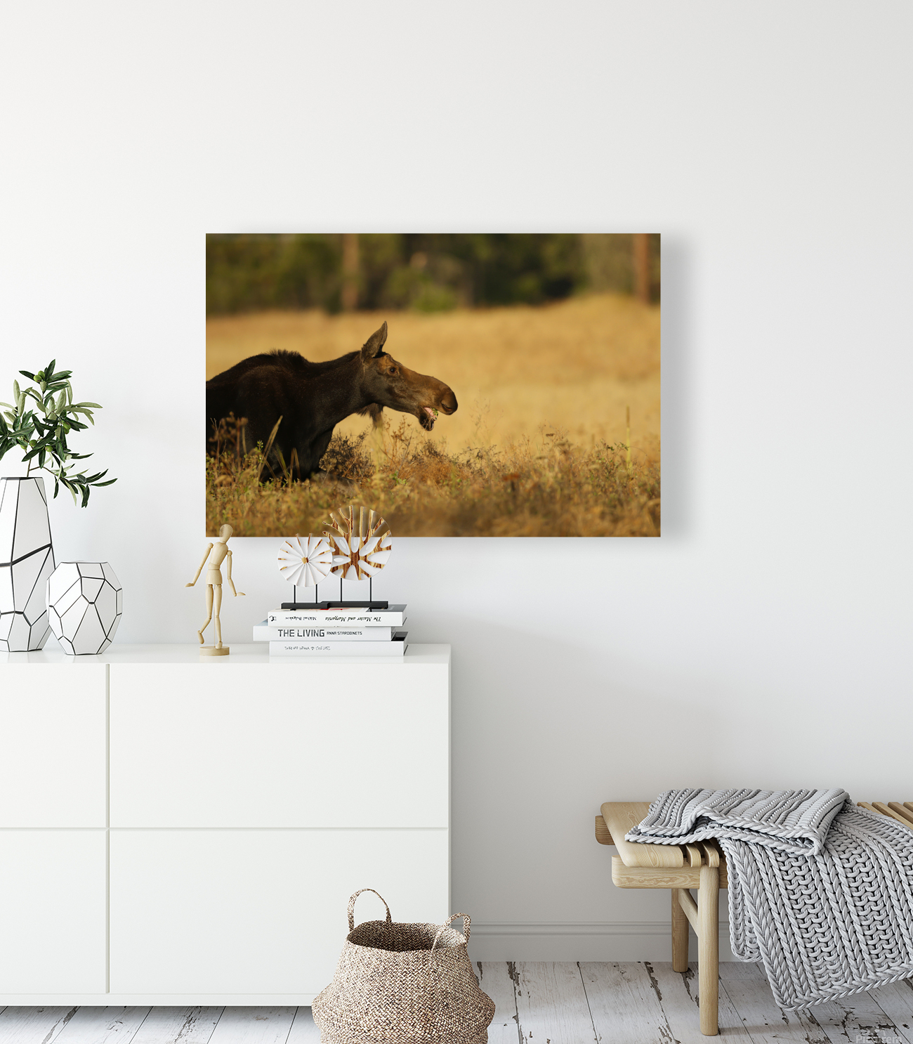 Moose Reproduction