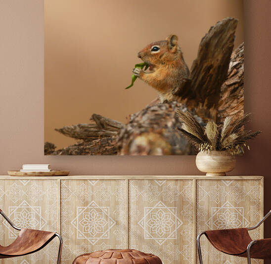 Chipmunk Munching by Gia Commodore