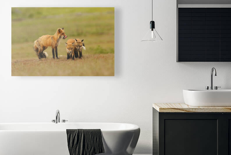 Red Fox Vixen and Kits by Gia Commodore