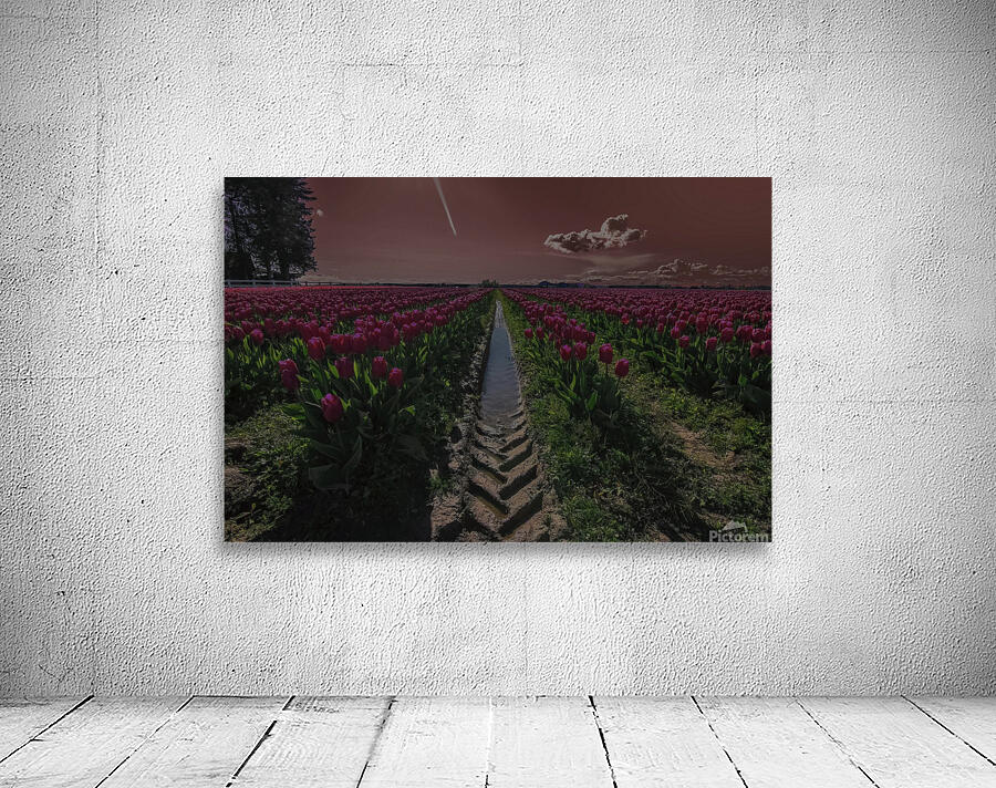 Tulips Wall Preview