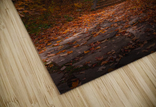 HEL03347 2 Hicham Mtl puzzle